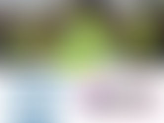 MCS Becomes a Disability Confident Committed Employer