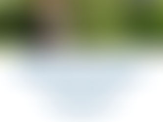 Meet the Team – Adrian Rumble