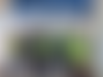 Mayor of Haslemere Visits The Link