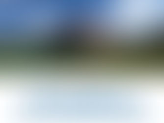 Final Stages at Park Mead School