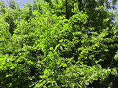 Laboratory Refurbishment Starts On Site