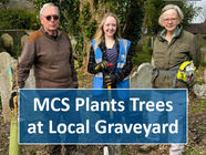 MCS Plants Trees at Local Graveyard