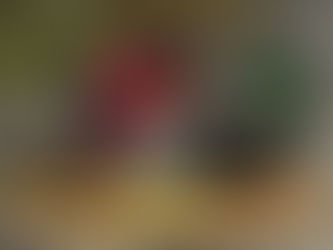 Season 16 - Episode 18: Don't Bother Victor