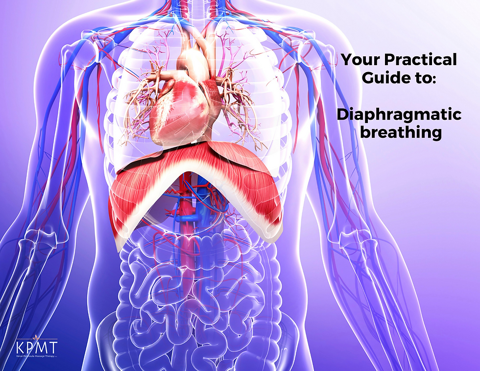 Get in Touch with Yourself & Your Practical Guide to: Diaphragmatic breathing