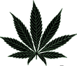 Hempy Hour Hanfblatt HempyHour Logo Hanf Wellness Wohlfühlauflage HempyHour
