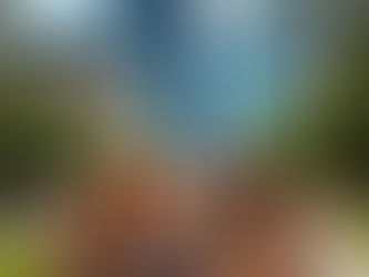 Uncover the Excitement: 5 Must-Do Activities When Moving to Charlotte NC!