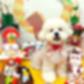 12625_edited.jpg