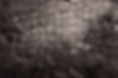 AMetnick_190714_1029381.jpeg