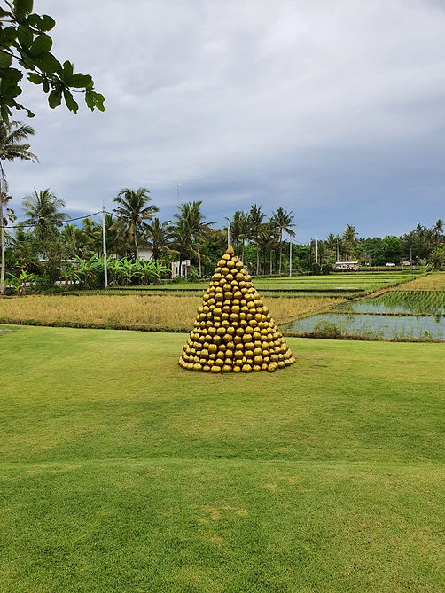 coconut christmas tree.jpeg