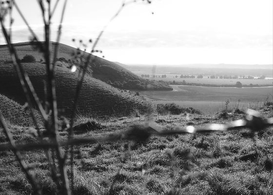 003_365.jpg