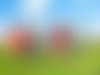 A descoberta e a libertação da criança.