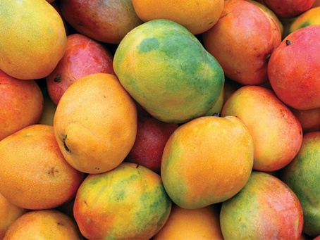 Temporada de Mangos: ¿Cómo aprovechar los nutrientes de esta fruta tropical?