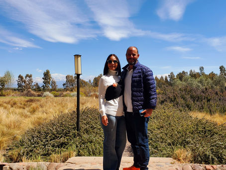 Mendoza: una de las grandes capitales del vino