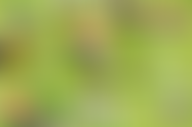DICAS-CLASH OF CLANS