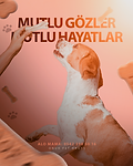 petshop sosyal medya tasarımı