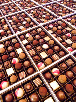 Selection of Holiday Chocolates