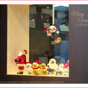 撮れたて通信12月号