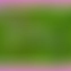 撮れたて通信3月号