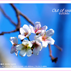 撮れたて通信10月号