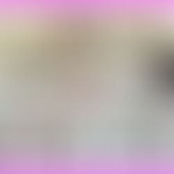 2026 撮れたて通信2月 増刊号その2