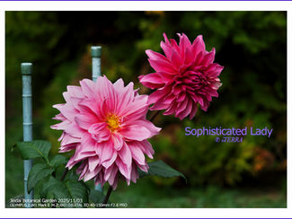 2025 撮れたて通信11月号 その1