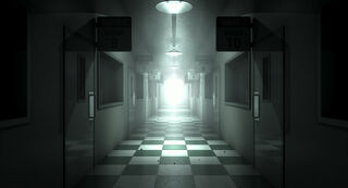 Voices speak to Joao