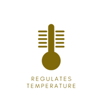 regulates temp icon - gold.png