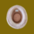 Thumbnail: Top view of fawn alpaca felt hat interior on a golden green background.