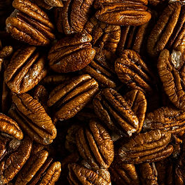Southern Pecan.jpg