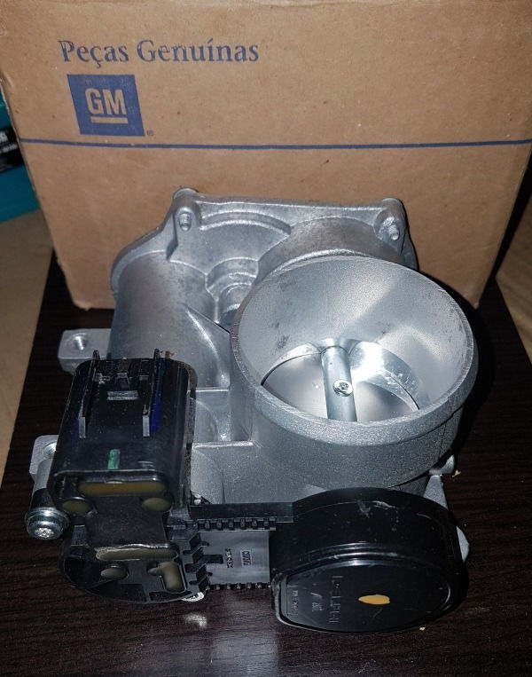 Cuerpo Mariposa Corsa-fun...