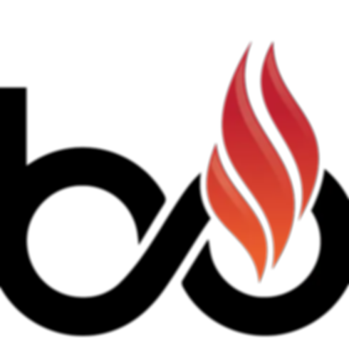 Birinci logo_edited.png