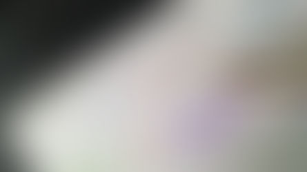 Ahrefs Nedir? Kapsamlı Rehber