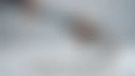 google sge seo - blog post