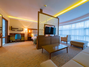 Hadriana Palace Hotel geniş ve modern otel odası, şehir manzaralı lüks konaklama alanı.