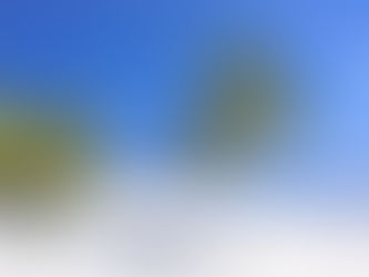 Sinop kıyısı ve deniz manzarası