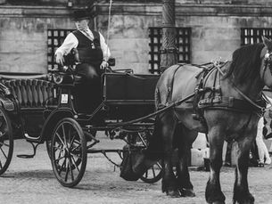 safranbolu at arabasi turu - kapak görseli