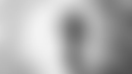 Close-up black and white image of a phrenology head with brain sections labeled.