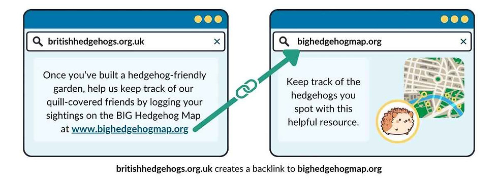 Kirpi gözlemlerini British Hedgehog Map'te kaydedin