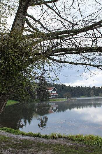bolu gölcük