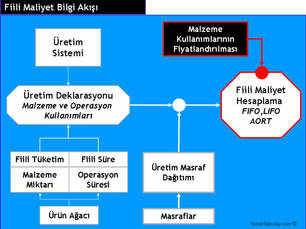 Freedom ERP Standart Maliyet Yönetimi ve Fiili Maliyet Yönetimi