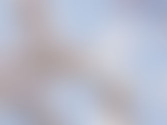 Karabük bahar gezisi ilkbahar çiçekler yeşil doğa