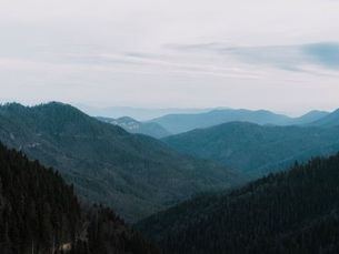 küre dağları milli parkı - kapak görseli