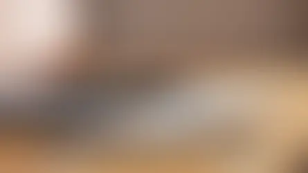 form optimization - cover image