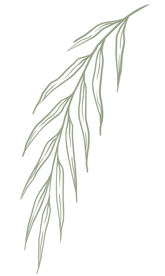 botanical 3_4x.png