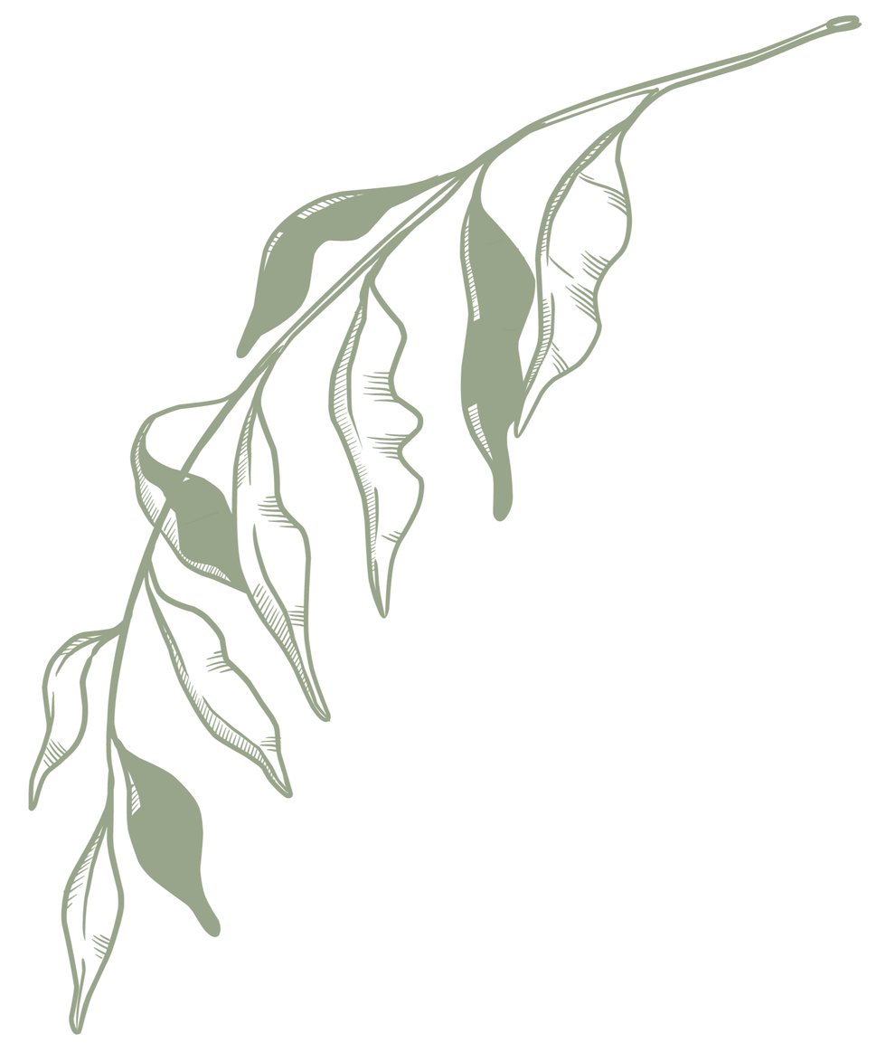 botanical 4_4x_edited.png