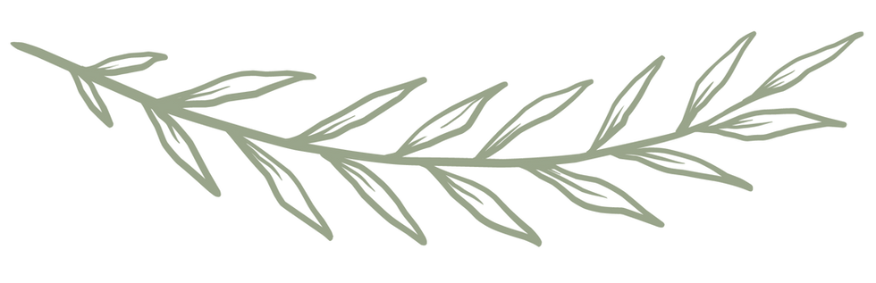 botanical 6_4x_edited_edited.png