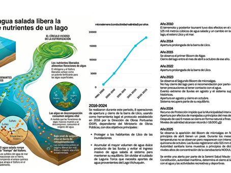 Ingreso de agua salada al sistema lacustre de Vichuquén y sus consecuencias 