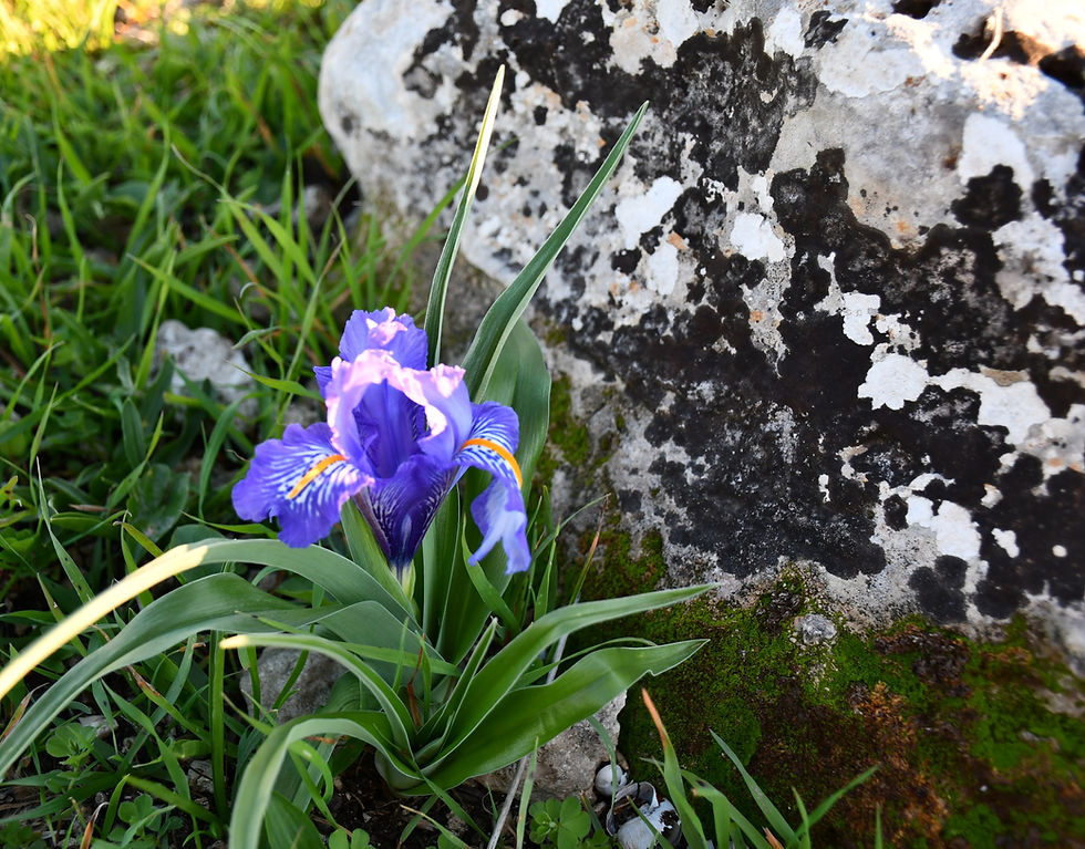 DSC_0868_edited