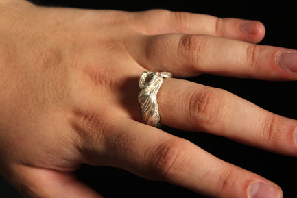 Landscape Ring
