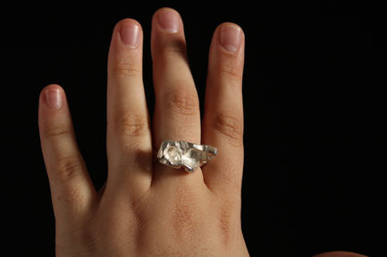 Landscape Ring